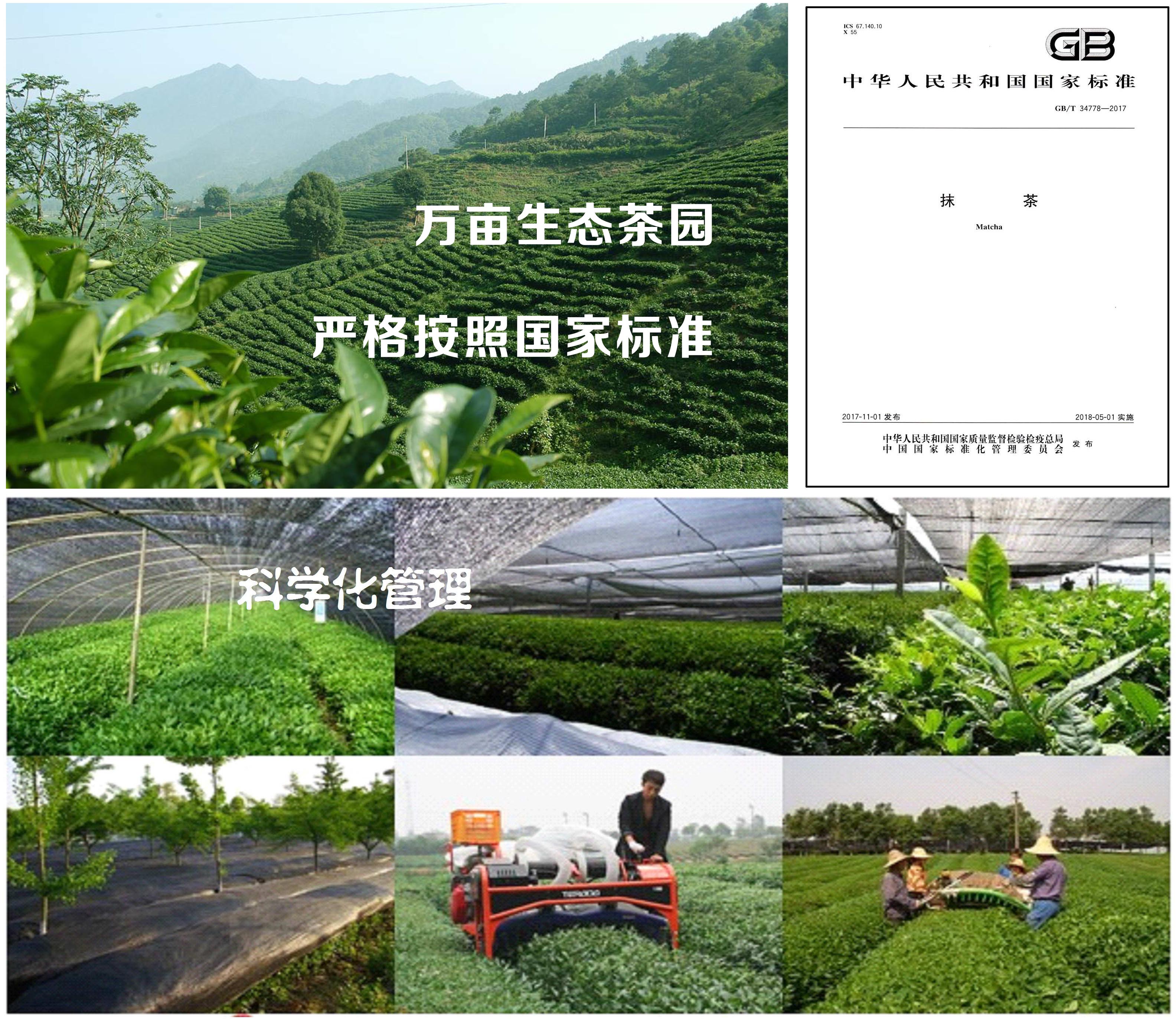 石抹香抹茶品质保证图片